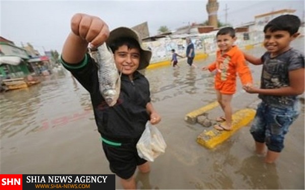 ماهیگیری مردم در خیابان‌های بغداد+ تصاویر