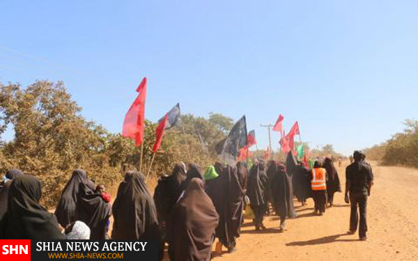 شجاعت شیعیان نیجریه در اربعین حسینی+ تصاویر
