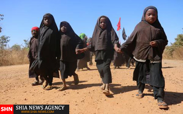 شجاعت شیعیان نیجریه در اربعین حسینی+ تصاویر