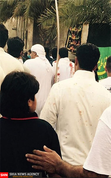 مراسم با شکوه اربعین در العوامیه + تصاویر