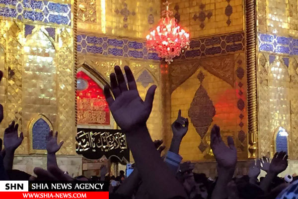 تصاویری جدید از حرم امام علی(ع)