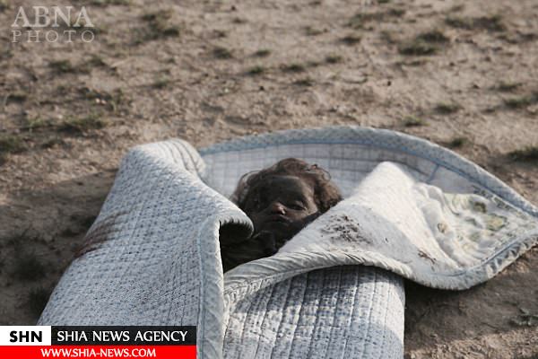 گور دسته‌جمعی ۲۴ عراقی اشک سربازان را درآورد+ تصاویر