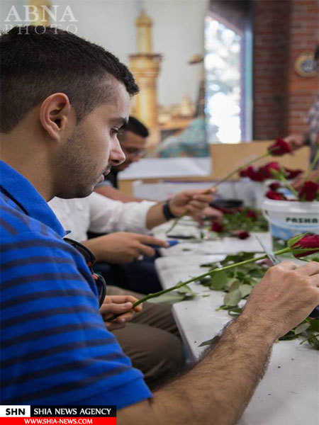 تصاویر هدیه شاخه گل شیعیان به غیرمسلمانان استرالیایی