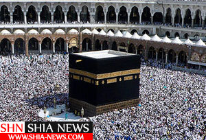 دیدار رئیس سازمان حج و زیارت با مراجع تقلید درباره مسئله حج