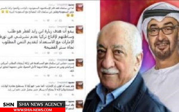امارات به دشمن اردوغان چقدر رشوه داد؟