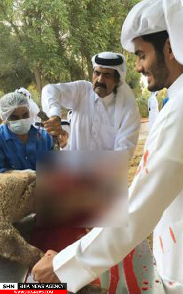 تصویر چهره امیر سابق قطر هنگام ذبح گوسفند!