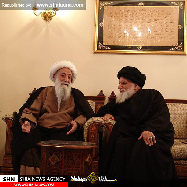 تصاویری از دیدار  آیت‌الله سید تقی طباطبائی قمی با آیات و مراجع عظام