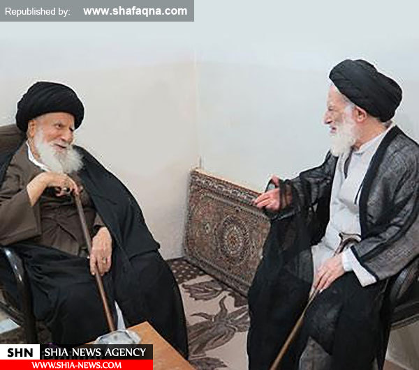 تصاویری از دیدار  آیت‌الله سید تقی طباطبائی قمی با آیات و مراجع عظام