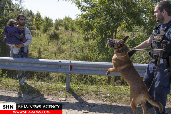 انداختن سگ‌ به جان مهاجران+ تصاویر