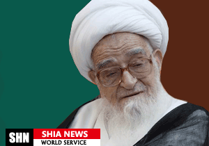 پیام آیت الله العظمی صافی به همایش پیرغلامان حسینی