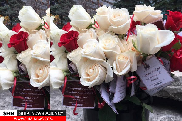 توزیع گل‌ به یاد شهدای کربلا در کانادا+ تصاویر