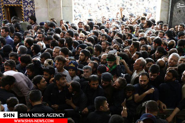 تصاویر کربلا دیگر گنجایش ندارد