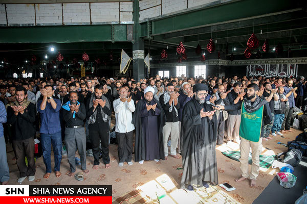 تصاويري از موكب امام رضا/عمود ۲۸۵