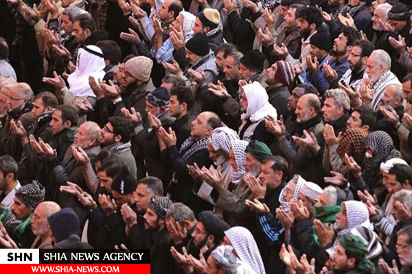 تصاویر نماز ظهر کربلای معلی