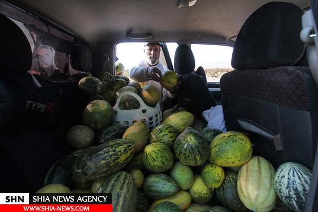 داستان زندگی طلبه ای که به دست آیت الله سیستانی معمم شد و حالا کشاورز نمونه خراسان است+ تصاویر