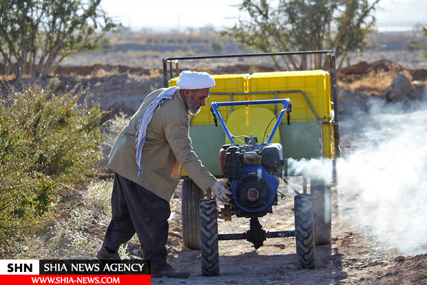 داستان زندگی طلبه ای که به دست آیت الله سیستانی معمم شد و حالا کشاورز نمونه خراسان است+ تصاویر