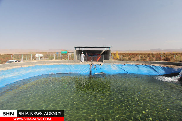 داستان زندگی طلبه ای که به دست آیت الله سیستانی معمم شد و حالا کشاورز نمونه خراسان است+ تصاویر