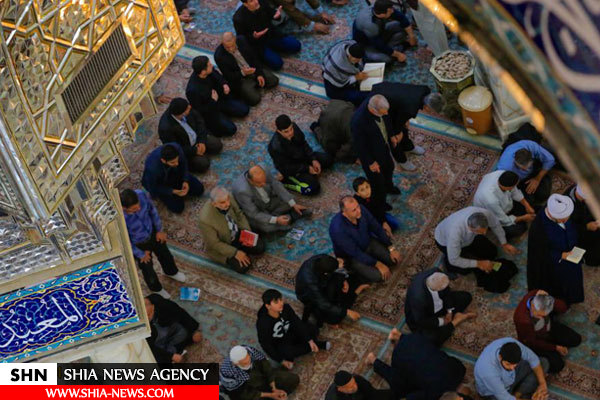 تصاویر رواق حضرت ابوطالب(ع) در حرم امام علی(ع) تصاویر رواق حضرت ابوطالب(ع) در حرم امام علی(ع)