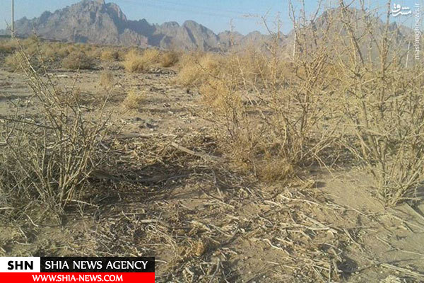 خشکسالی بی‌سابقه سیستان و بلوچستان به روایت تصویر