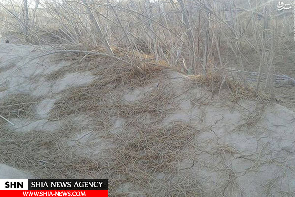 خشکسالی بی‌سابقه سیستان و بلوچستان به روایت تصویر