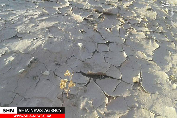 خشکسالی بی‌سابقه سیستان و بلوچستان به روایت تصویر