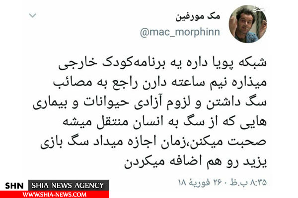 آموزش سگ بازی در شبکه پویا! آموزش سگ بازی در شبکه پویا!