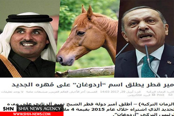 امیر قطر اسم اسب جدید خود را اردوغان گذاشت