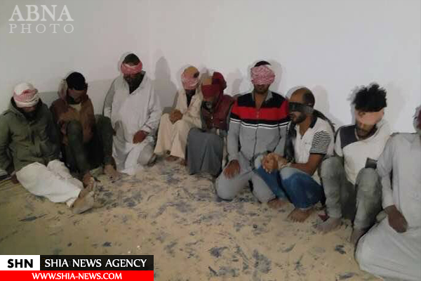 قبیله ترابین ۱۰ داعشی را در سیناء دستگیر کرد+ تصویر