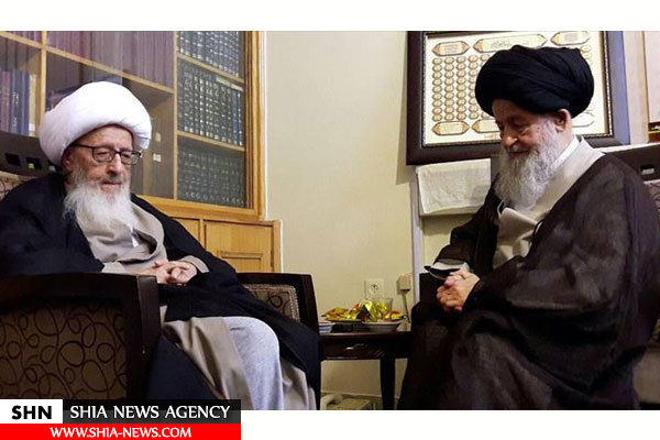 دیدار آیت الله علوی گرگانی با آیت الله العظمی وحید