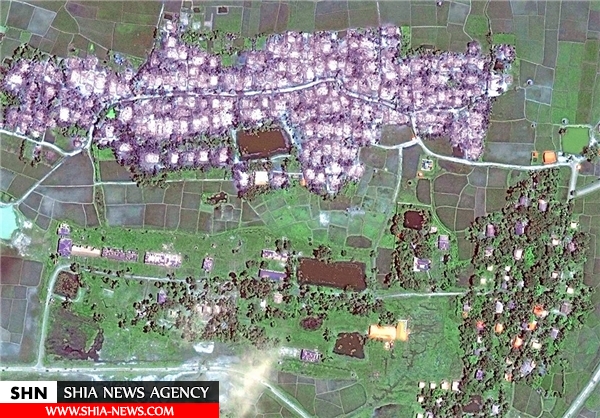 288 روستای اقلیت روهینگیا به آتش کشیده شده‌اند