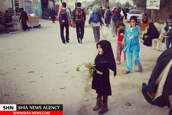 تمام دارائی دختر بچه عراقی برای زائران اربعین