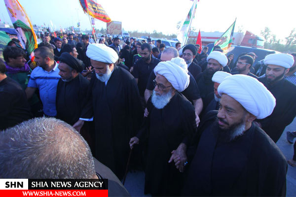 آیت الله بشیر نجفی در پیاده روی اربعین حضور یافت