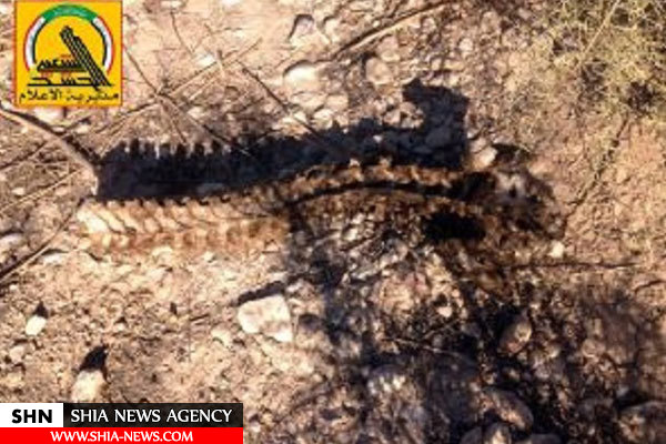 کشف ۲ گور دسته جمعی حاوی اجساد ده‌ها زن و کودک در عراق+ تصاویر