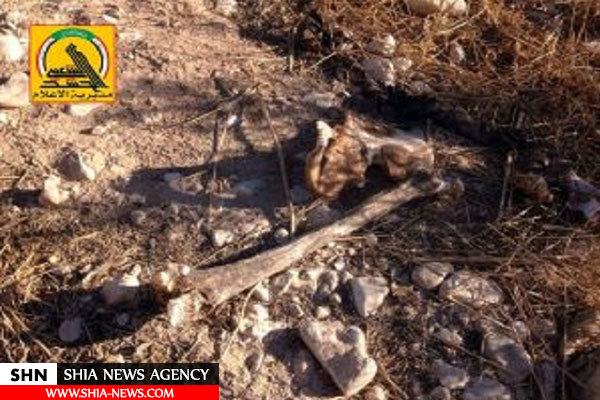 کشف ۲ گور دسته جمعی حاوی اجساد ده‌ها زن و کودک در عراق+ تصاویر