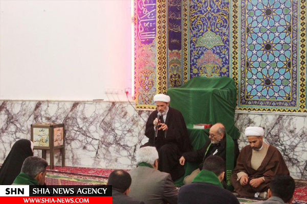 تشرف پزشکان و استادان دانشگاه آمریکا، پاکستان و تانزانیا به زیارت حرم امام علی(ع)