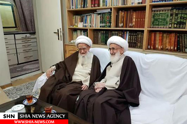 آیت الله نوری همدانی با آیت الله صافی دیدار کردند آیت الله نوری همدانی با آیت الله صافی دیدار کردند