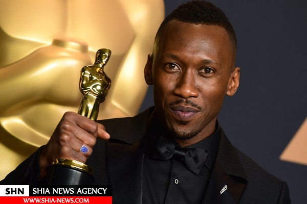 اسلام‌ستیزانی که مسلمان شدند