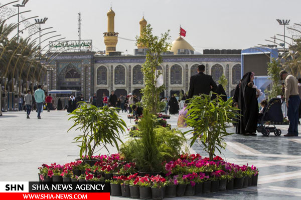 گل آرایی صحن های حرم امام حسین(ع) و حضرت عباس (ع) گل آرایی