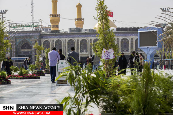گل آرایی صحن های حرم امام حسین(ع) و حضرت عباس (ع) گل آرایی