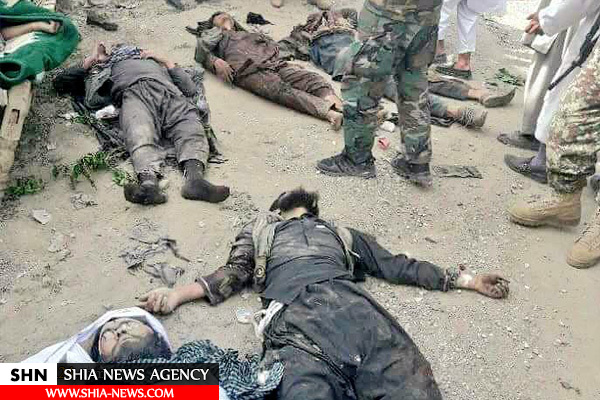 تلفات سنگین گروه تروریستی طالبان در فراه + تصاویر