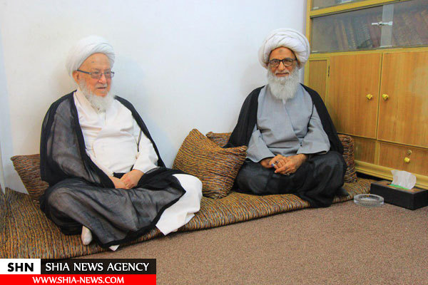 آیت الله فیاض با آیت الله بشیر نجفی دیدار کرد +تصاویر