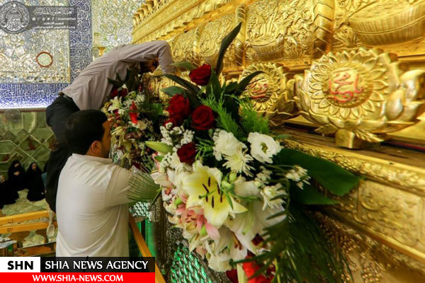 گلباران ضریح امیرالمؤمنین(ع) در آستانه میلاد امام حسن مجتبی(ع)