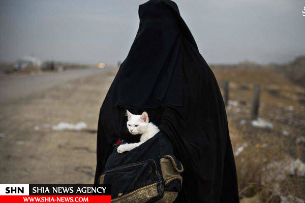 اظهارات تکان‌دهنده خانواده تروریست‌ها در عراق