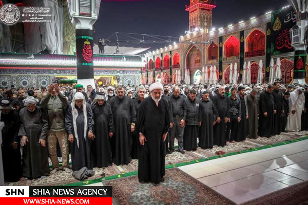جلوه ای زیبا از نماز جماعت در حرم حضرت امیرالمومنین (علیه السلام)+ تصاویر