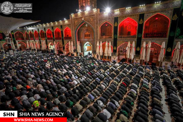 جلوه ای زیبا از نماز جماعت در حرم حضرت امیرالمومنین (علیه السلام)+ تصاویر