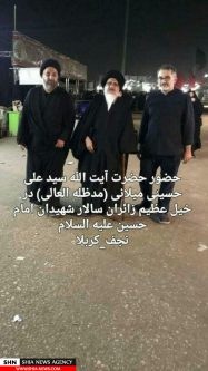 تصاویر علما در پیاده روی اربعین