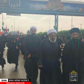 تصاویر علما در پیاده روی اربعین