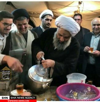 تصاویر علما در پیاده روی اربعین