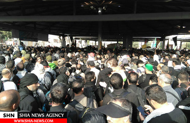 اقیانوس شیفتگان کربلا در عظیم‌ترین کنگره انسانی جهان