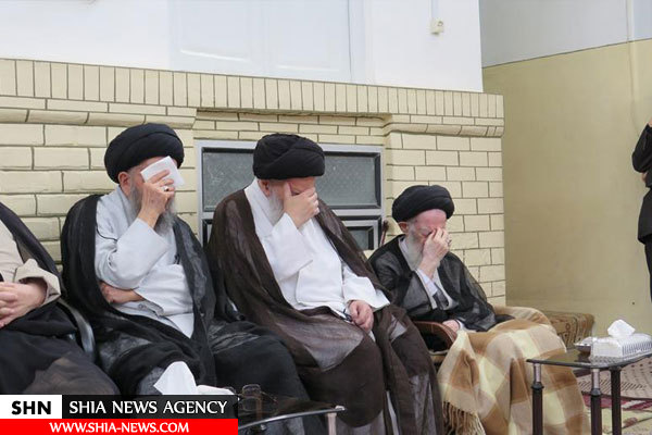 آیت الله العظمی شبیری زنجانی به روایت تصویر